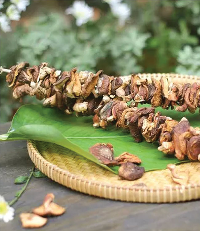 Nấm rừng